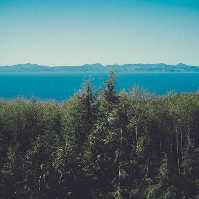 Jackson, Walker and Hamilton banner