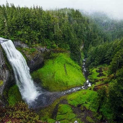 Bennett-Aguirre banner