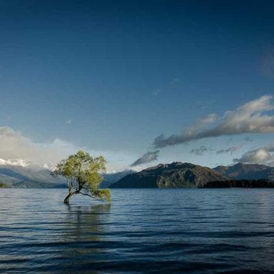 Grant-Salazar banner